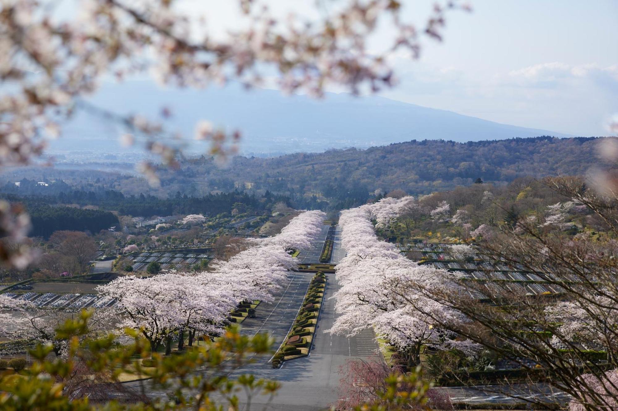 Fuji Speedway Hotel - The Unbound Collection By Hyatt Oyama  Buitenkant foto