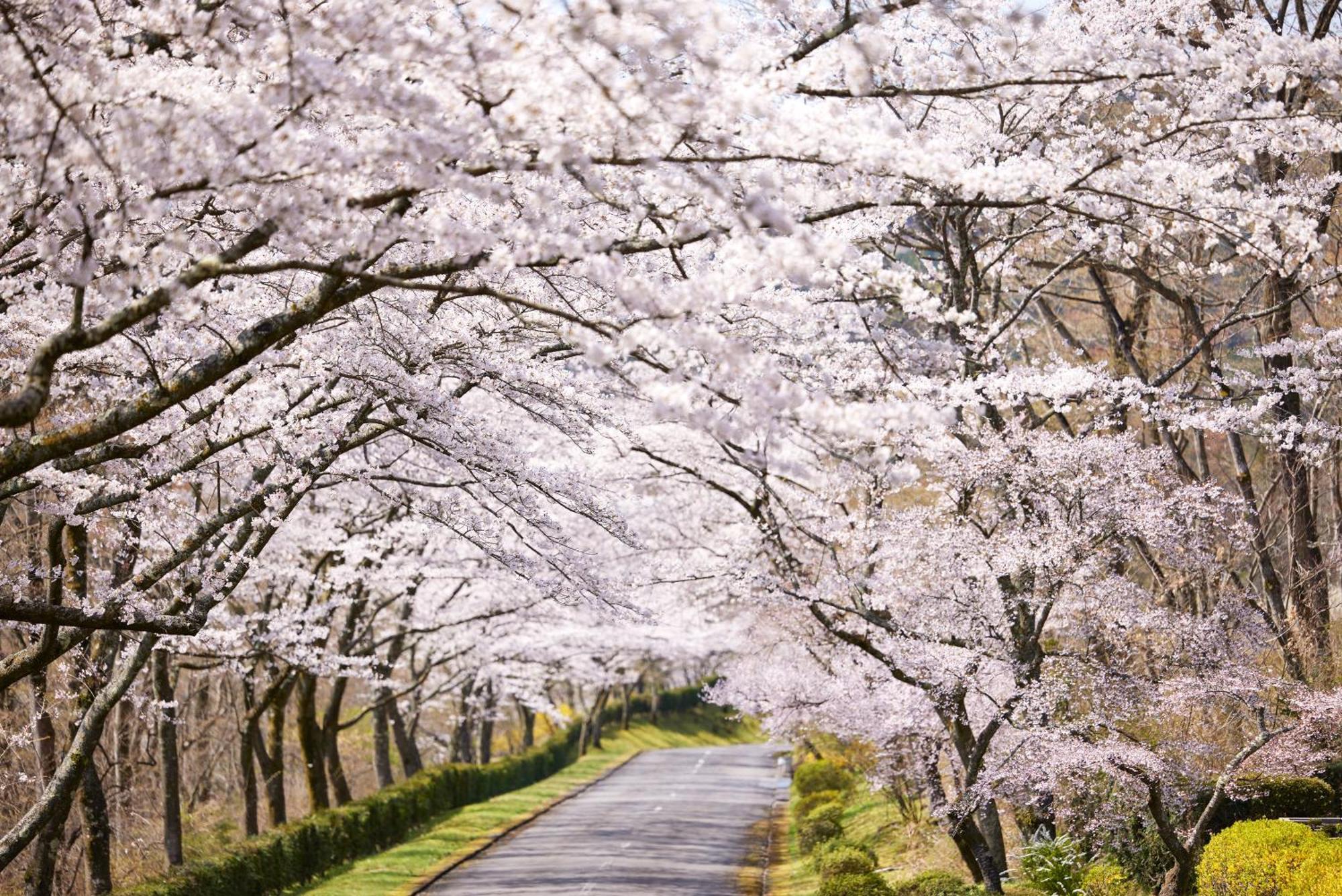 Fuji Speedway Hotel - The Unbound Collection By Hyatt Oyama  Buitenkant foto